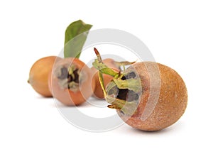 Medlar fruit photo