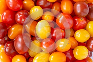 Medley of Grape Tomatoes Filling the Frame