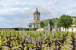 Medoc, France. Vineyards and church of the village Margaux