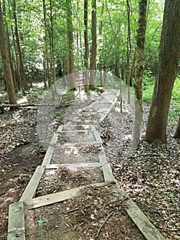 Medoc mountain state park