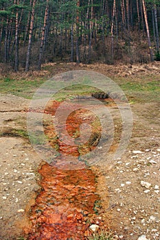 The Medokys spring in Kalameny, Natural landmark