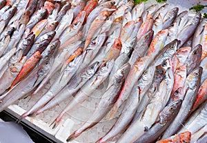 Fish at seamarket photo