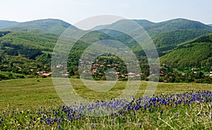 Medven village in spring