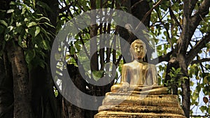 Local Art. Golden Buddha With Bodhi Leaves And Tree