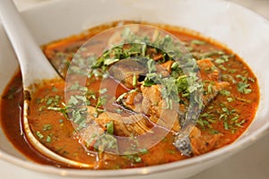 Meen Kuzhambu, Spicy Fish Curry