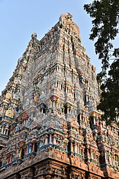 Meenakshi Amman Temple-Madurai