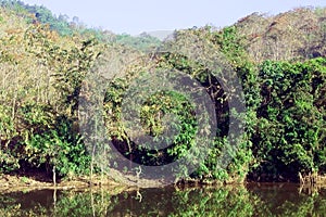 Meenmutty Hydel Tourism Spot, Kerala, India