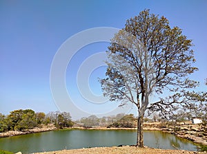 Meera sagar lake on the mountain, vijaygadh kila sonbhadra.