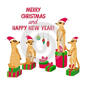 Meerkat family with Christmas gifts.