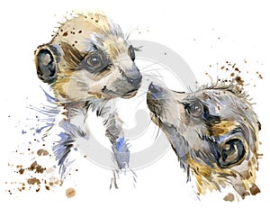 Meerkat watercolor illustration. fashion Tee shirt design.