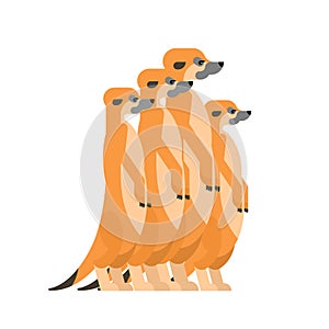 Meerkats family cartoon. Small mongoose. vector illustration