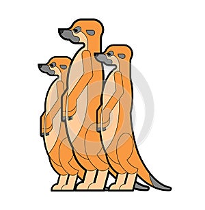 Meerkats family cartoon. Small mongoose. vector illustration