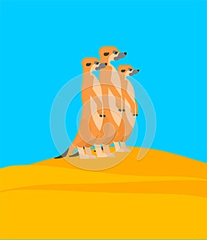 Meerkats family on hill. Small mongoose. vector illustration