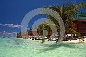 Meeru beach cabins