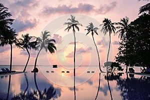 Meeru Island Maldives April 2019. - The beach at sunsrise on tropical island with palm trees.