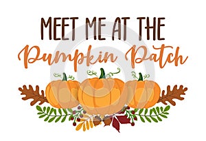 Meet me at the Pumpkin Patch