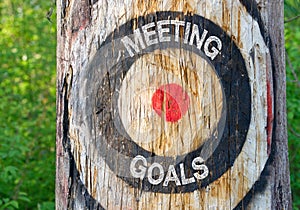 Meeting Goals - tree with target and text
