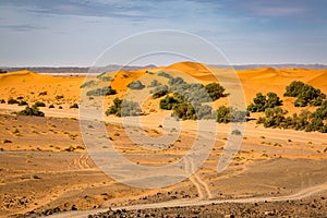 Meeting hamada stony deserts and sand deserts of the Sahara.