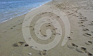 The meeting of important elements in earth, sea water and beach sand photo