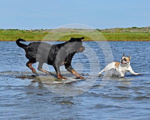 A meeting of the sea