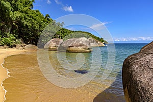 Meeting between the vegetation and the sea