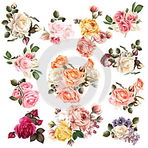 Mega collection of high detailed vector flowers for design