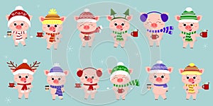 Mega set of twelve pigs in different hats and a scarf with cups of different hot drinks on the background of snowflakes. Happy New