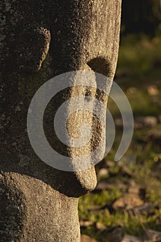 Megalith from unknown prehistoric culture, Sulawesi, Indonesia