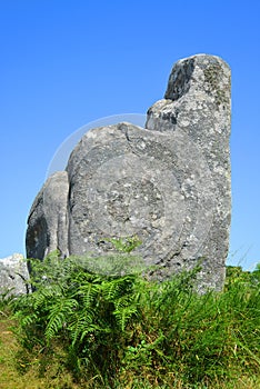 Megalithic monuments menhirs in Carnac