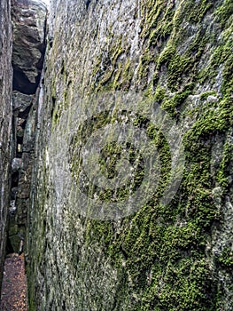 Megalithic rock formations in the Table Mountain National Park, Poland