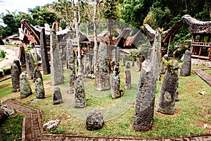 Megaliths or menhirs of Tana Toraja. Old torajan burial site in a village Bori, Rantepao, Sulawesi, Indonesia.