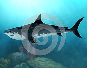 Megalodon Extinct Mega Shark