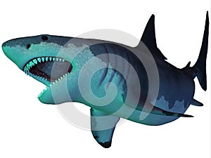 Megalodon Shark Underwater