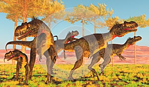 Jurassic Megalosaurus theropod Dinosaur Hunt photo