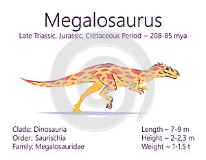 Megalosaurus. Theropoda dinosaur. Colorful vector illustration of prehistoric creature megalosaurus and description of