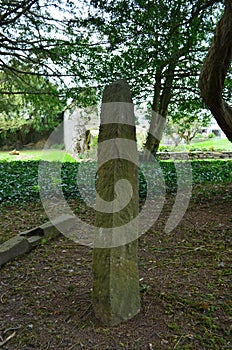 Megaltihic Ogham Standing Stones in Adare Ireland