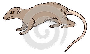 megazostrodon rat mouse dinosaur ancient vector illustration transparent background