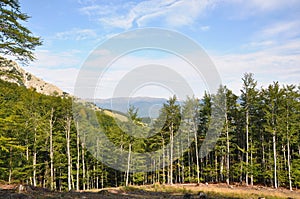 The Mehedinti Mountains, Romania