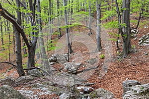 The Mehedinti Mountains, Romania