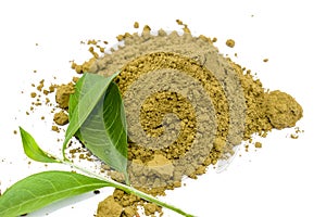 Mehendi or henna leaves and powder