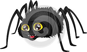 cute spider cartoon on a white background