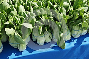 Mei Quin Choi, Shanghai Bok Choi, Baby pak choi