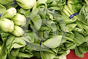 Mei Quin Choi, Shanghai Bok Choi, Baby pak choi