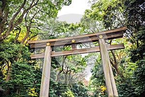 Meiji Jingu Gaien