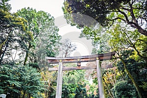 Meiji Jingu Gaien