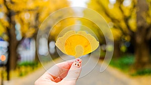 Beautiful yellow Ginkgo leaf at Icho Namiki-doriGinkgo Avenue,Meiji Jingu Gaien,Aoyama area,Tokyo,Japan. photo