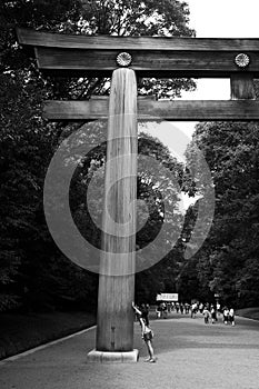 Meiji Jingu Shrine Park