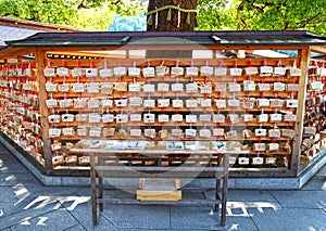 Meiji Jingu Shrine in Shibuya, Tokyo