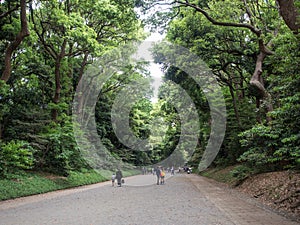 Meiji Jingu Shrine, Tokyo, Japan