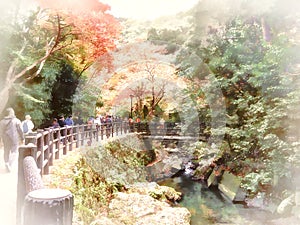 Meiji-no-mori Mino Quasi-national Park Mino Waterfall